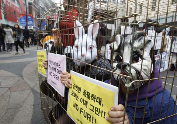 South Korean animal rights activists wear masks while confining themselves to cages during a demonstration against buying fur in Seoul.