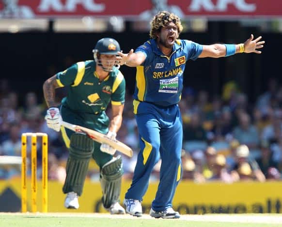 Sri Lanka`s Lasith Malinga appeals the wicket of Australia`s Mitchell Starc during their One Day International cricket match in Brisbane.
