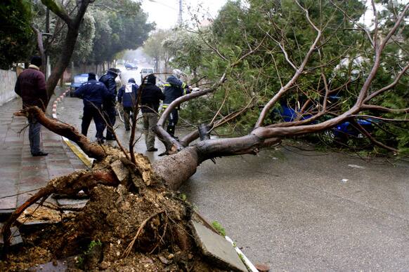 Palestinian firefighters prepare to remove a tree blocking a road in the West Bank city of Nablus. A Palestinian official says the fiercest storm to hit the area in a decade has claimed the lives of two West Bank women who drowned after their car was caught in a flash flood unleashed by torrential rains.