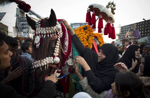Pakistani Shiite Muslim worshippers touch a horse, symbolizing the horse that carried Imam Hussein during the battle of Karbala, to pay tribute during the Muslim festival of Arbaeen in Rawalpindi.