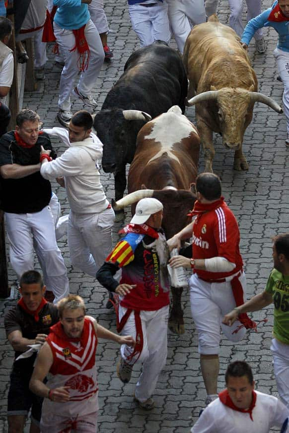 San Fermin Festival | News | Zee News