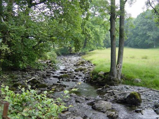 A sparkling brook that runs through a quiet and verdant park in the Lake Region, where Wordsworth lingered.