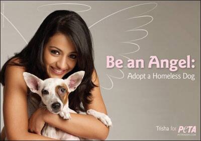 'Adopt a homeless dog' says Trisha in PETA's latest campaign.