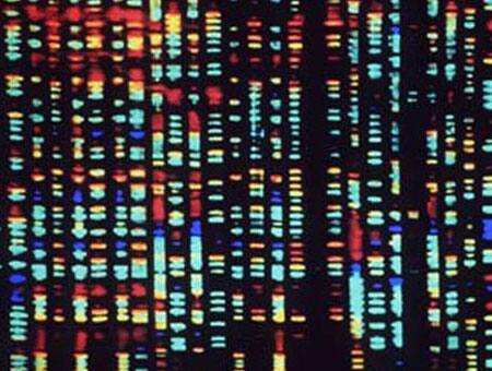 Scientists discover second, secret DNA code | Science News | Zee News