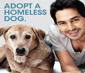 Dino Morea recently shot a new advertisement for PETA with a homeless dog.