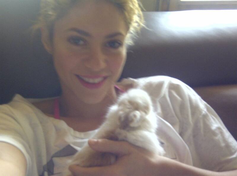 Shakira posted this pic of hers with her little bunny.