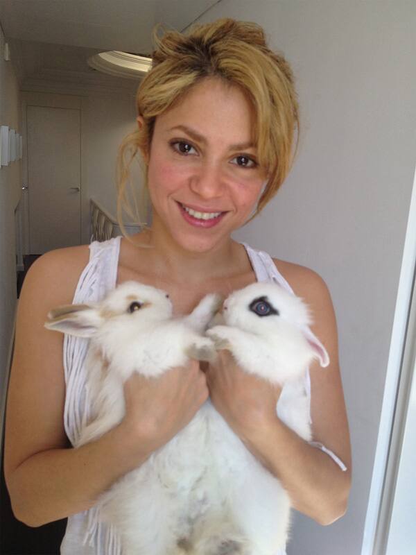 Shakira posted this pic of hers with her little bunnies and wrote,