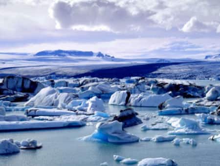 Dynamics behind Arctic ecosystems revealed | Environment News | Zee News