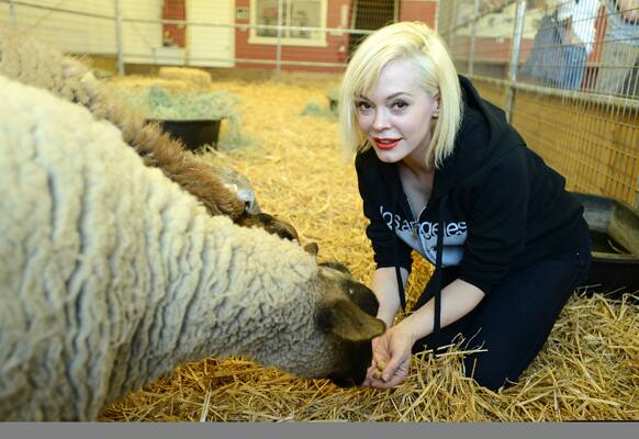 Rose McGowan feeds sheep during The Gentle Barn's spring celebration at The Gentle Barn, in Agua Dulce, Calif.