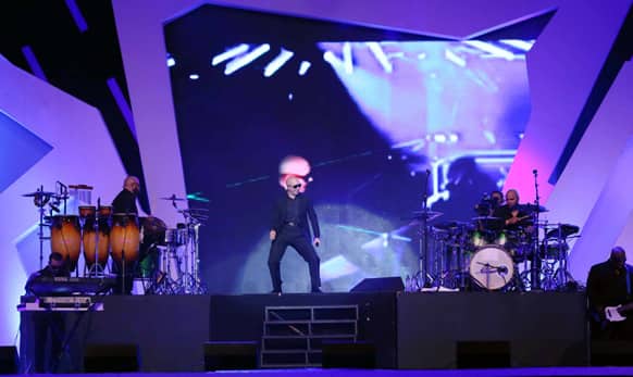 The excitement on the audiences' part was palpable during Pitbull's stage performance. Image courtesy: Ravi Shanker Tulsan/Red Chillies Entertainments