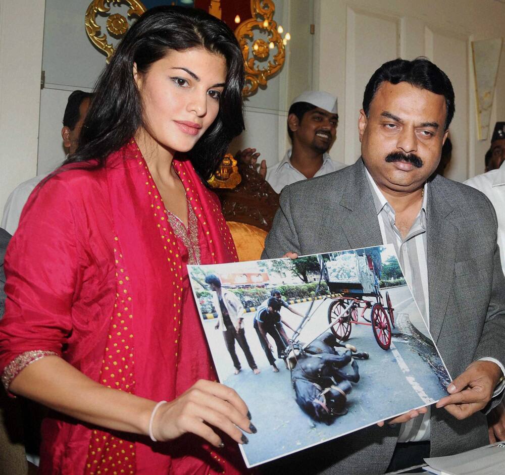 Jacqueline Fernandez during a meeting with Sunil Prabhu, Mayor of Mumbai on behalf of PETA for horse carriage ban in Mumbai.