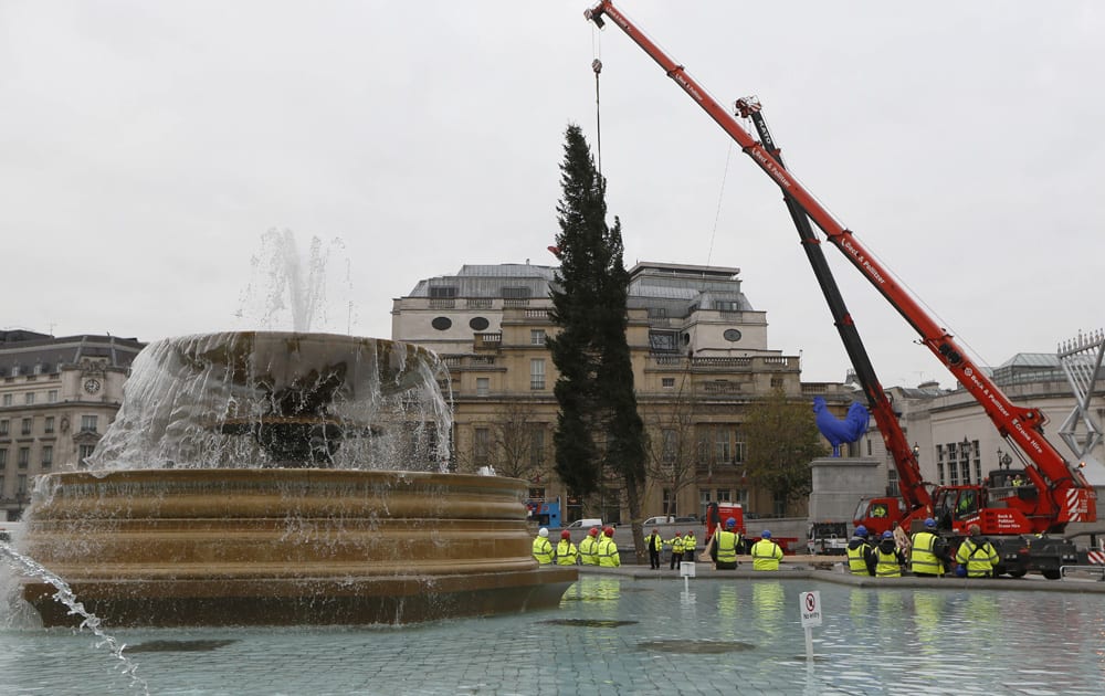 Workers install a Christmas tree at Trafalgar Square in London.