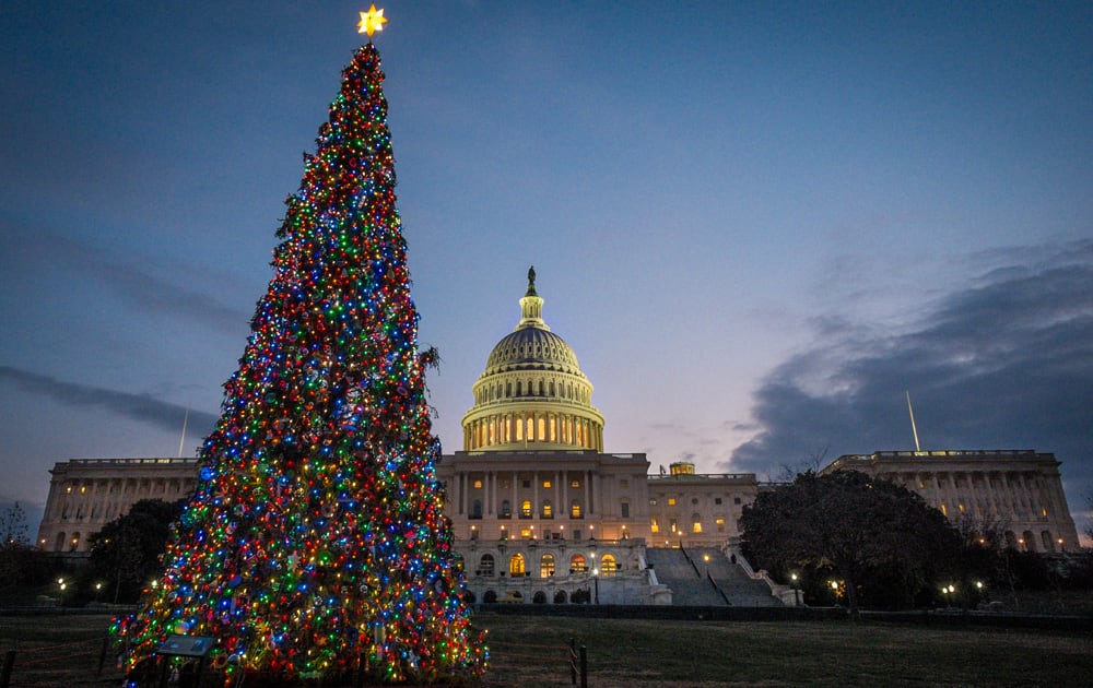 The US Capitol Christmas tree is lit against the early morning sky in Washington.