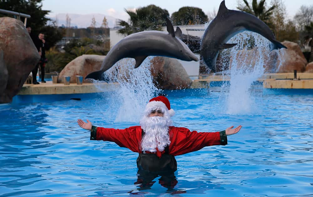 A man dressed as Santa Claus poses for photographers with two dolphins, at the Marineland animal exhibition park in Antibes, southeastern France.