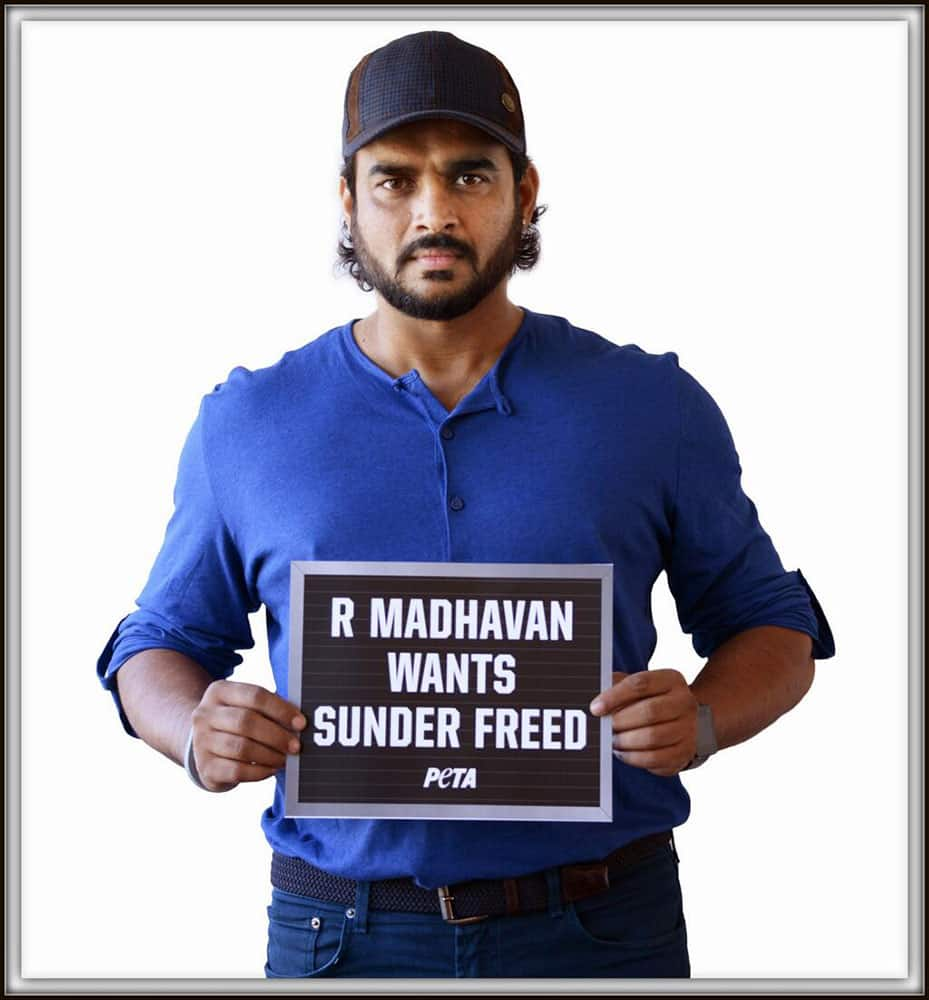 R. Madhavan. Pic Courtesy: Twitter