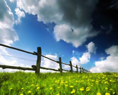 The earth heaves a sigh of relief when the sky smiles after a cold stretch.