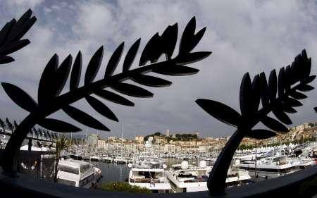 Luxury yachts are moored in the port of Cannes May 12, 2009. The 62nd Cannes Film Festival runs from May 13-24.