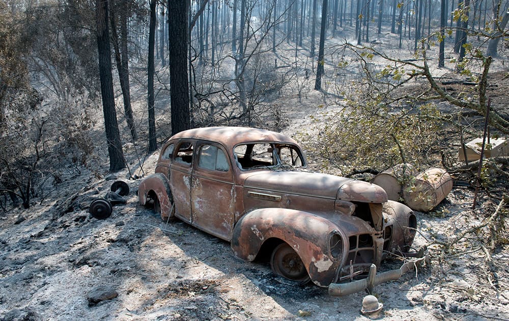 An antique car, one of many destroyed on the Rancho Cicada Retreat property is surrounded by burned trees in Plymouth, Calif.