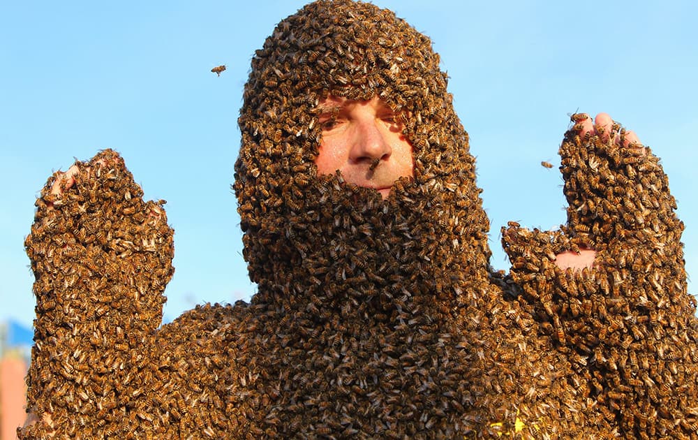 Ken VandenDool shows off his bee beard at an annual competition at Clovermead Adventure Farm in Aylmer, Ontario, Canada.