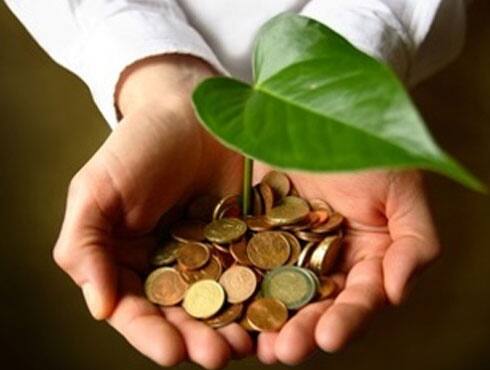The concept of a green economy represents a determined effort to tackle the damaging obsession with GDP as a measure of progress. There is no consensual definition, but the perfect green economy would deliver equitable improvement in living standards without eroding environmental assets.
 - Deeksha Ahuja