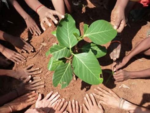 India is increasingly being looked at as a hub of research and development for green solutions. This is due to its innovation in technology, low-priced manufacturing and services, and traditional knowledge and processes. India has the world`s third largest pool of scientists and engineers and has instilled confidence in the global market through its significant achievements in information technology, professional services and communications in the past decade.