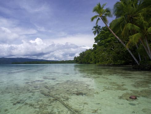 Solomon Islands is a sovereign country consisting of a large number of islands in Oceania lying to the east of Papua New Guinea and Northwest of Vanuatu.

Due to debilitating effects of climate change the low-lying lands of the Solomon Islands are severely affected with crops failing and reduced land area.
 
