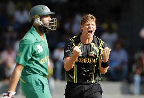 Shane Watson, right, celebrates taking the wicket of South African batsman Hashim Amla during the ICC Twenty20 Cricket World Cup Super Eight match between Australia and South Africa in Colombo.