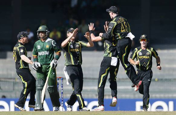 Australia's bowler Mitchell Starc, third from right, celebrates the dismissal of Pakistan's captain Mohammad Hafeez, second from left, with teammates from left David Warner, Cameron White, Michael Hussey and Brad Hogg during the ICC Twenty20 Cricket World Cup Super Eight match.