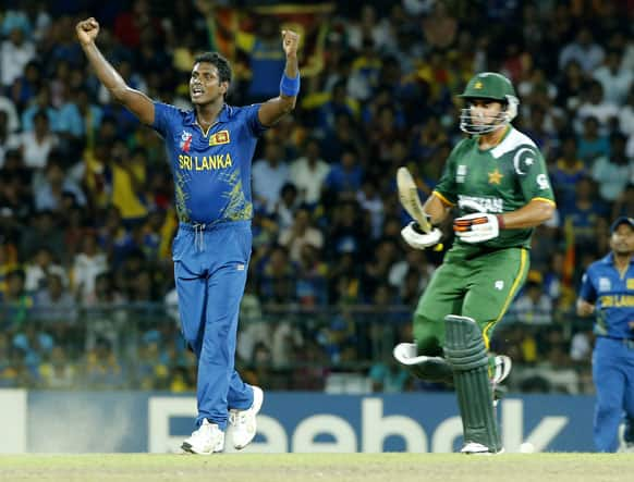 Sri Lankan bowler Angelo Mathews celebrates the wicket of Pakistan's batsman Nasir Jamshed, right, during the ICC Twenty20 Cricket World Cup semi final match between Pakistan and Sri Lanka in Colombo.