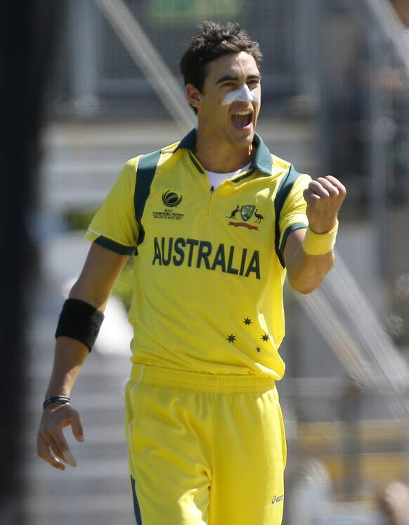 Australia's Mitchell Starc celebrates taking the wicket of India's Murali Vijay during a warm up cricket match for the upcoming ICC Champions Trophy between India and Australia at the Cardiff Wales Stadium in Cardiff.