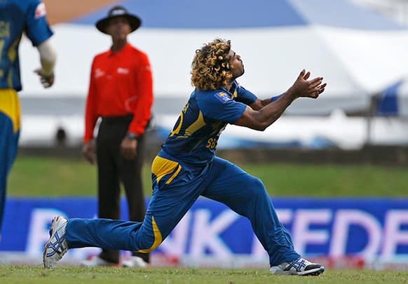 Sri Lanka's Lasith Malinga takes the catch to dismiss West Indies' Darren Sammy for 3 runs during their Tri-Nation Series cricket match in Port-of-Spain, Trinidad.