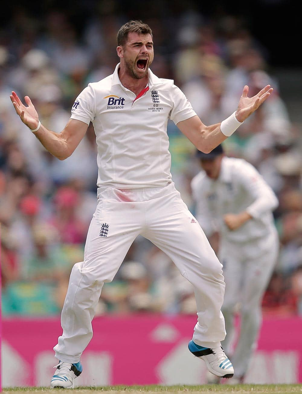 England's James Anderson celebrates being given a LBW decision on Australia's Shane Watson for 43 runs in their Ashes cricket test match at the Sydney Cricket Ground in Sydney.