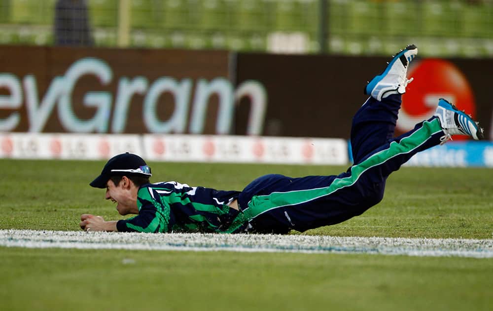 Ireland's George Dockrell dives to successfully take a catch to dismiss Netherlands' captain Peter Borren during the ICC Twenty20 Cricket World Cup match in Sylhet, Bangladesh.