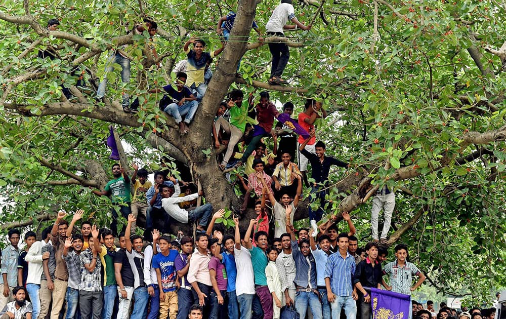 Enthusiastic fans gather outside the Eden Garden to watch the felicitation ceremony of KKR team that won the IPL - 7 trophy, in Kolkata