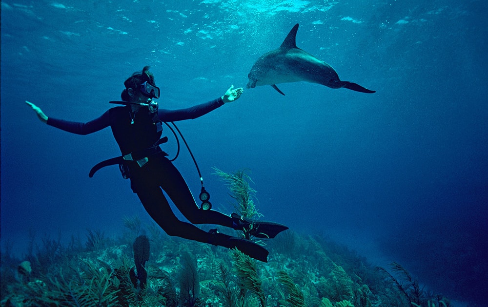 This undated image released by Netflix shows Dr. Sylvia Earle in a scene from the Netflix documentary `Mission Blue.` Directed by Fisher Stevens and Robert Nixon, the film profiles oceanographer Sylvia Earle and her effort to help protect the world`s seas.