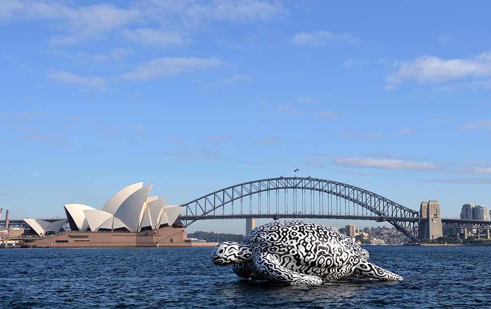 A huge floating Sea Turtle sculpture drifts past the Opera House and Harbour Bridge in Sydney, Australia.