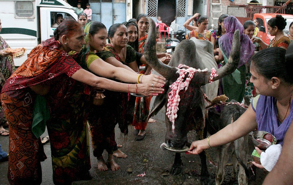 Women worship a cow during a festival in Surat.