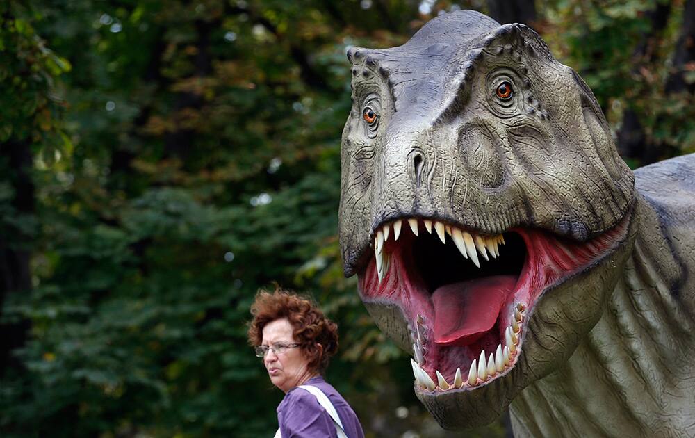 A visitor passes by an exhibit during the Dinosaurs exhibition in Belgrade, Serbia. `Dino Park` has opened at Belgrade’s Kalemegdan Fortress.