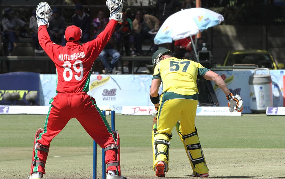 Zimbabwean wicketkeeper Richard Mutumbami appeals in vain for the wicket of Australian batsman BJ Haddin at Harare Sports Club in Harare Zimbabwe.