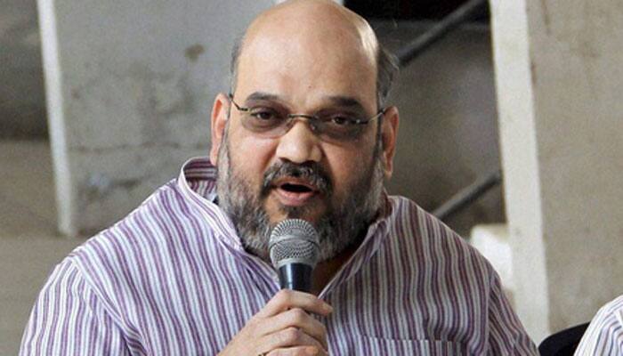Reports against Rajnath Singh&#039;s son an attempt to malign BJP: Amit Shah