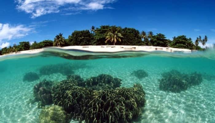 Kerala to prepare databank of marine ecosystem