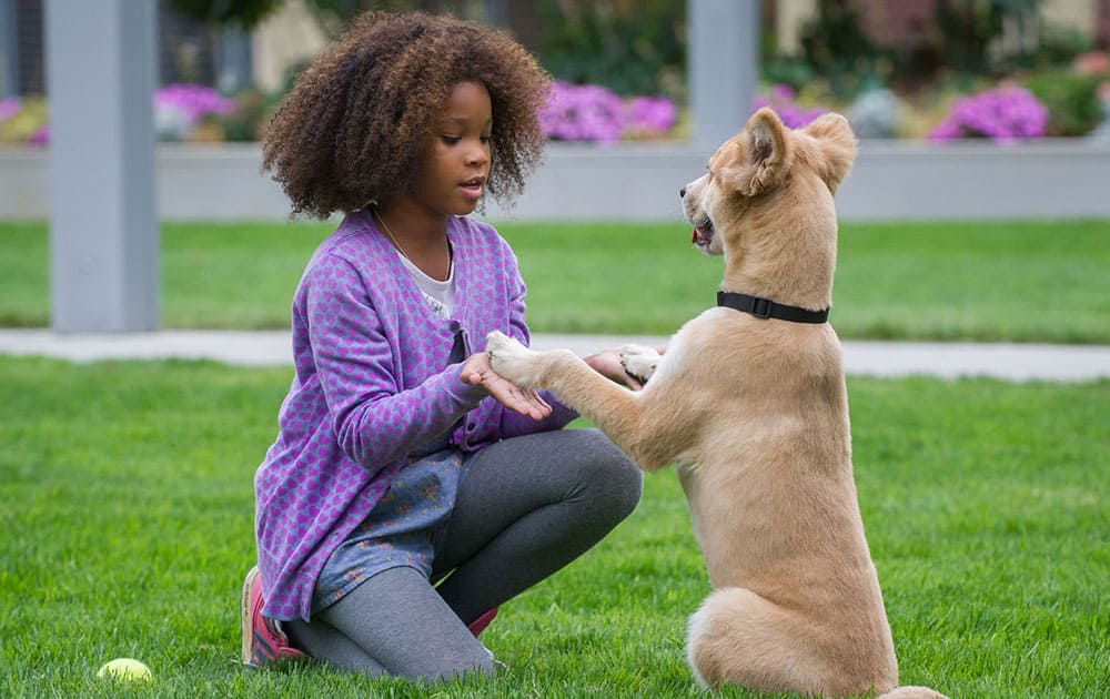 This image released by Columbis Pictures shows Quvenzhane Wallis in a scene from 'Annie.'