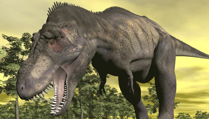 Meet Dreadnoughtus, the largest dinosaur that ever lived on earth