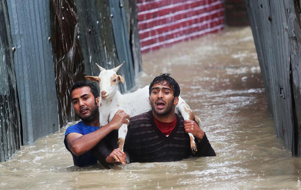 Kashmiri residents carrying a goat wade through floodwaters in Srinagar.
