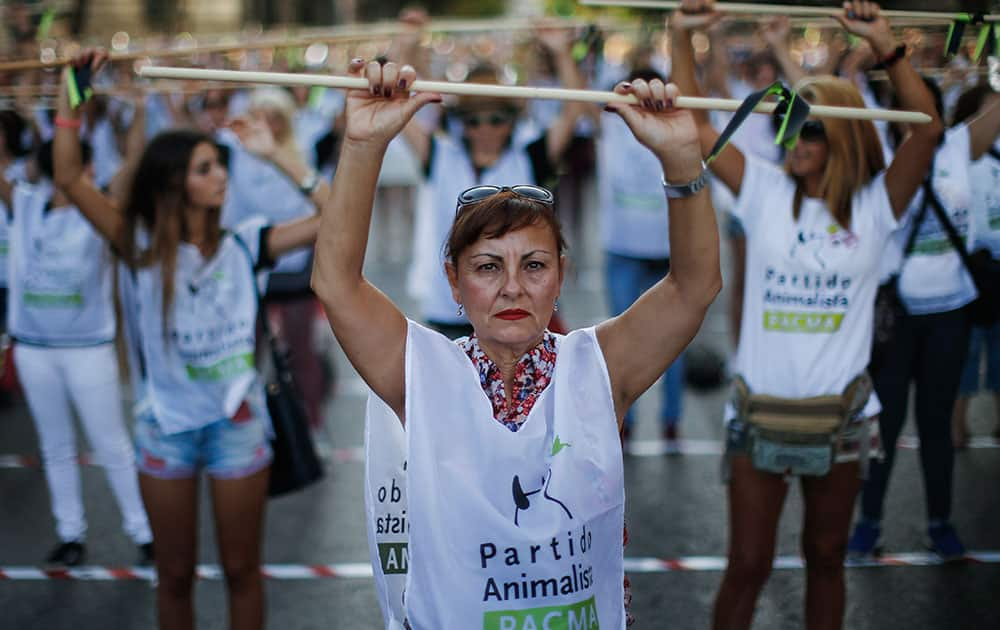 Protestors demonstrate in Madrid, Spain, against an annual Spanish bull spearing event `Toro de la Vega` where men on horseback chase down a bull and spear it to death.