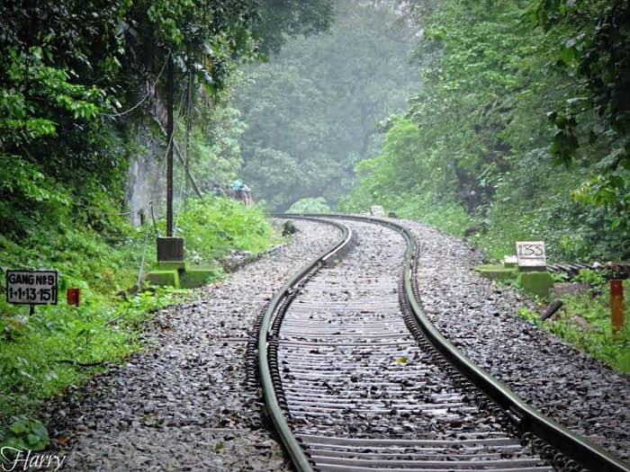 On the way back. Heading to Kulem Station after the 10km jungle trek. Image by Chandni Nihalani Kumar