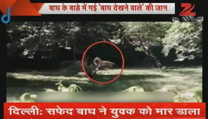 White tiger kills boy at Delhi zoo
