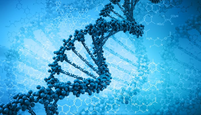 Human genome shaped by evolutionary race with itself