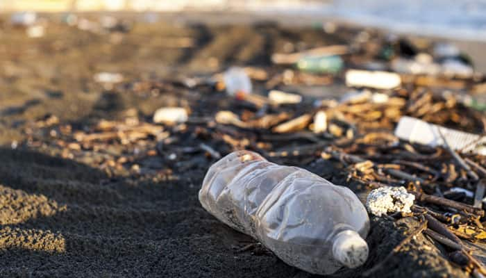 California bans use of plastic bags