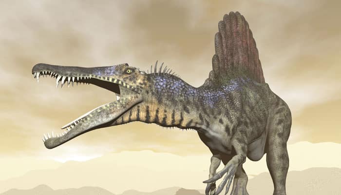 How dinosaurs&#039; arms transformed into bird wings revealed